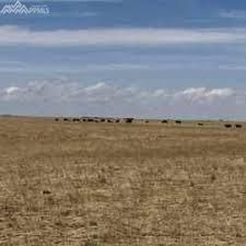 36545 Bowen Rd, Yoder, CO 80864