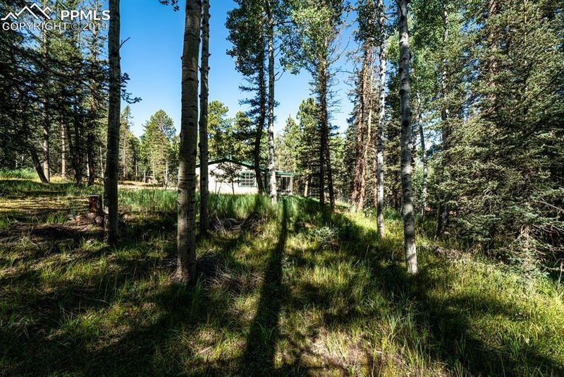 3662 County Road 5, Divide, CO 80814