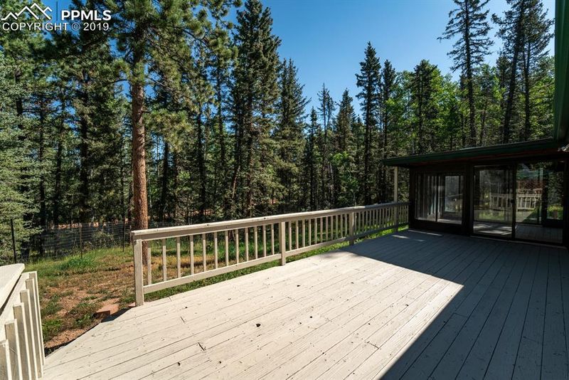 3662 County Road 5, Divide, CO 80814