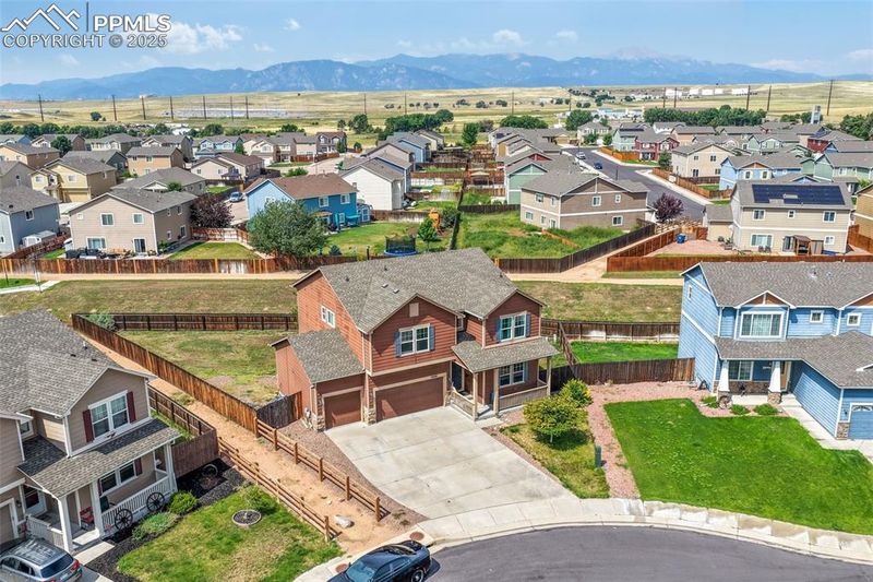 3668 Wild Daisy Dr, Colorado Springs, CO 80925