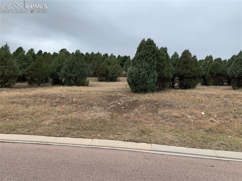 3675 Twisted Oak Cir, Colorado Springs, CO 80904