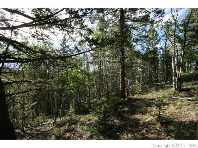 37 Apatite Rd, Divide, CO 80814