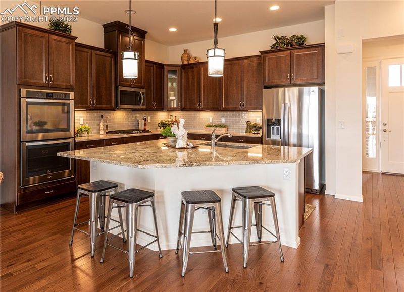 3700 New Haven Cir, Castle Rock, CO 80109