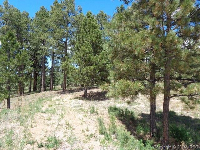 3702 Mountain Dance Dr, Colorado Springs, CO 80908