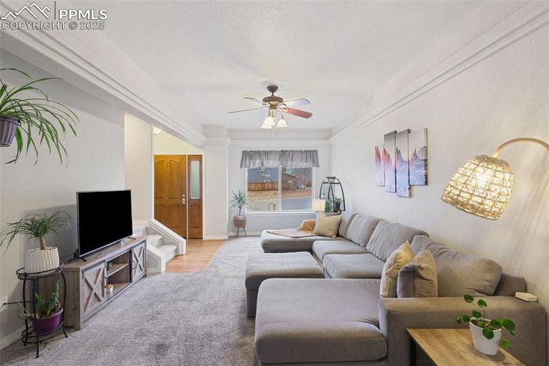3727 Scott Ln, Colorado Springs, CO 80907