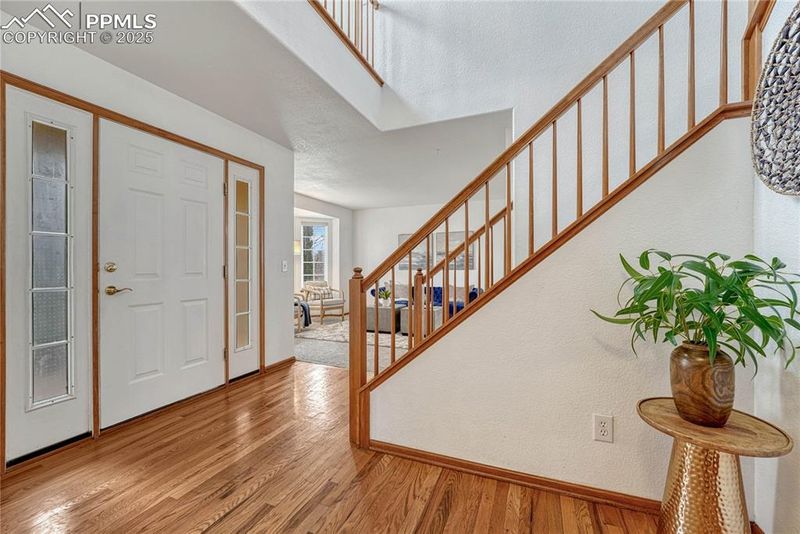 3728 Pony Tracks Dr, Colorado Springs, CO 80922