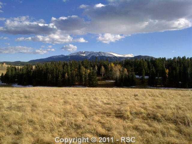 373 Pinaceae Hts, Divide, CO 80814
