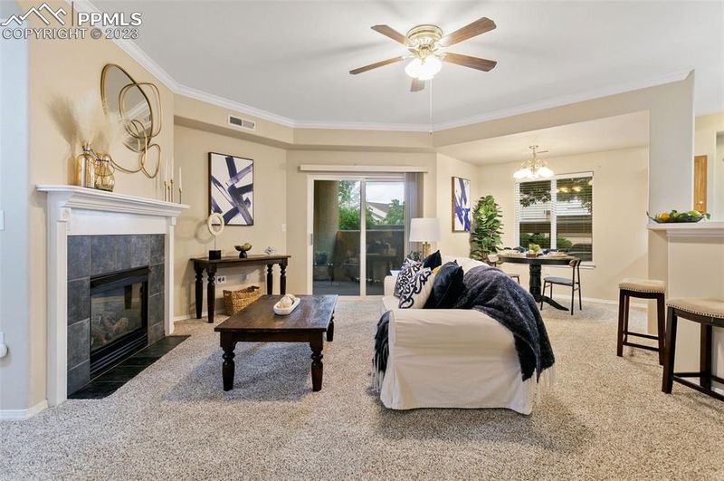 3732 Riviera Grv #101, Colorado Springs, CO 80922