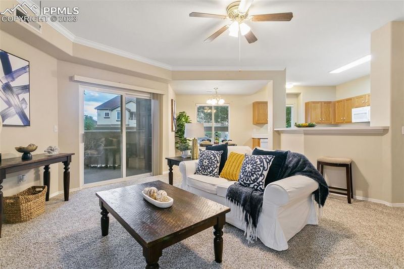 3732 Riviera Grv #101, Colorado Springs, CO 80922