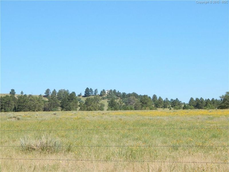 37450 Comanche Creek Rd, Kiowa, CO 80117