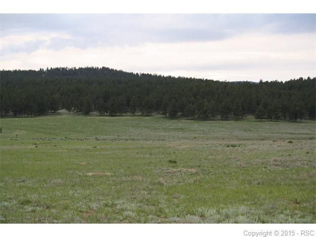37597 County Road 77, Jefferson, CO 80456