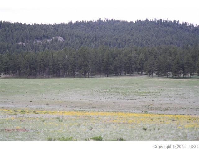 37597 County Road 77, Jefferson, CO 80456