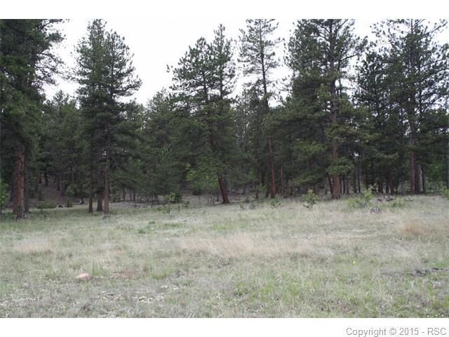 37597 County Road 77, Jefferson, CO 80456