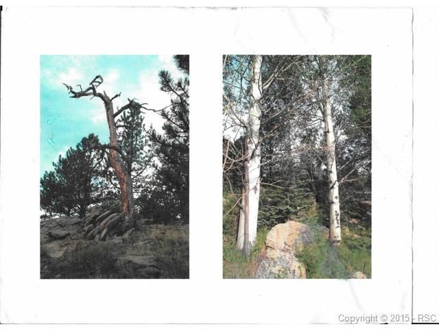 37597 Tarryall Rd, Jefferson, CO 80456