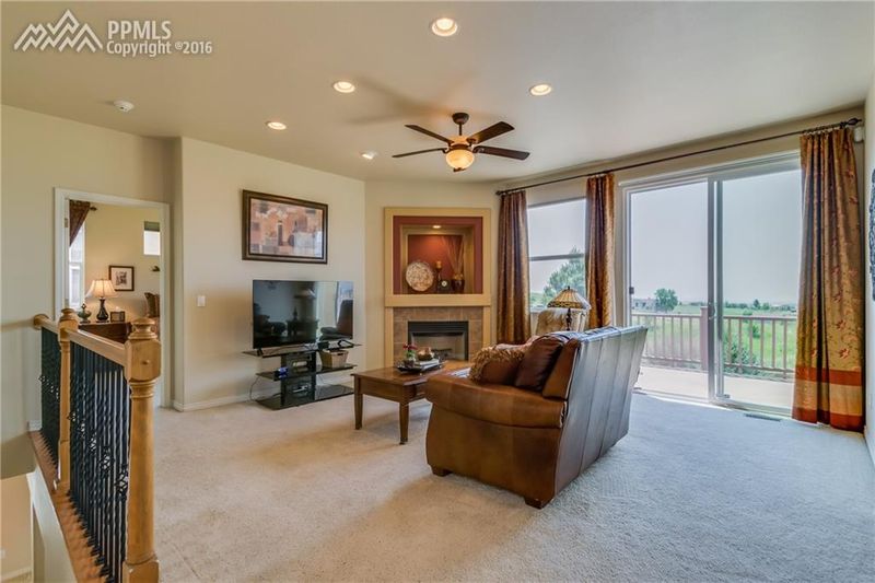 377 Whistler Creek Ct, Monument, CO 80132