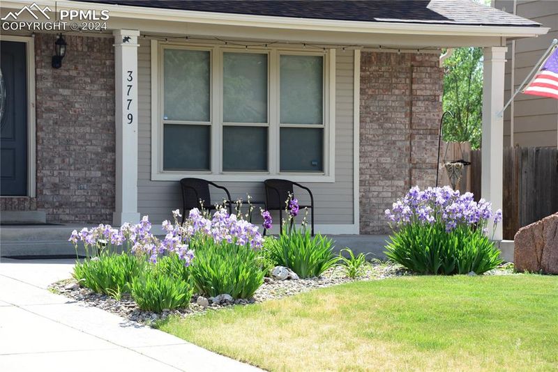 3779 Cottage Dr, Colorado Springs, CO 80920
