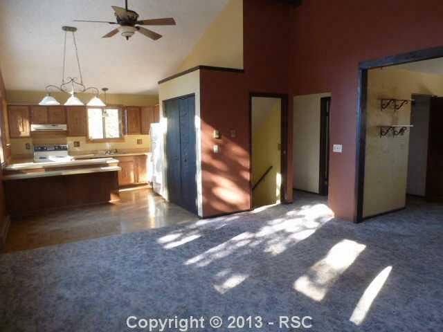 38 Mullite Ln, Divide, CO 80814