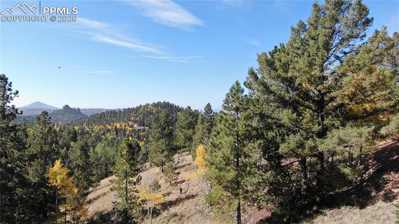 38 Wa Hi Rd, Divide, CO 80814
