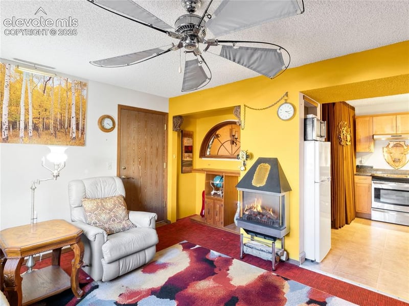 380 Paradise Cir #C1, Woodland Park, CO 80863