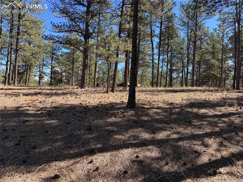 382 Blue Mountain Dr, Florissant, CO 80816