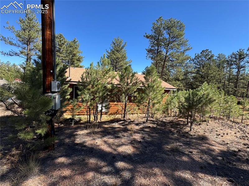 382 Blue Mountain Dr, Florissant, CO 80816
