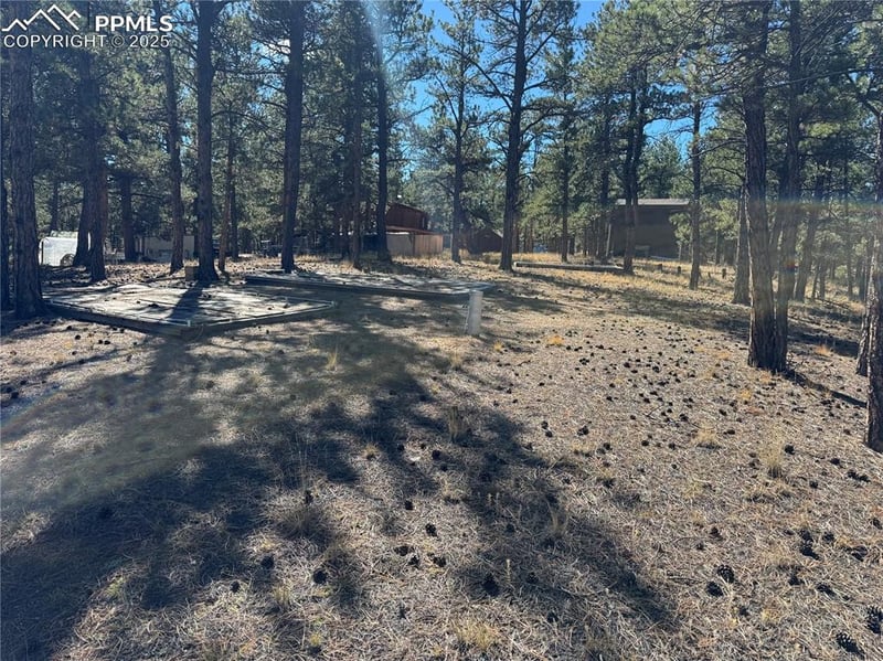 382 Blue Mountain Dr, Florissant, CO 80816