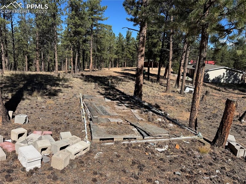 382 Blue Mountain Dr, Florissant, CO 80816