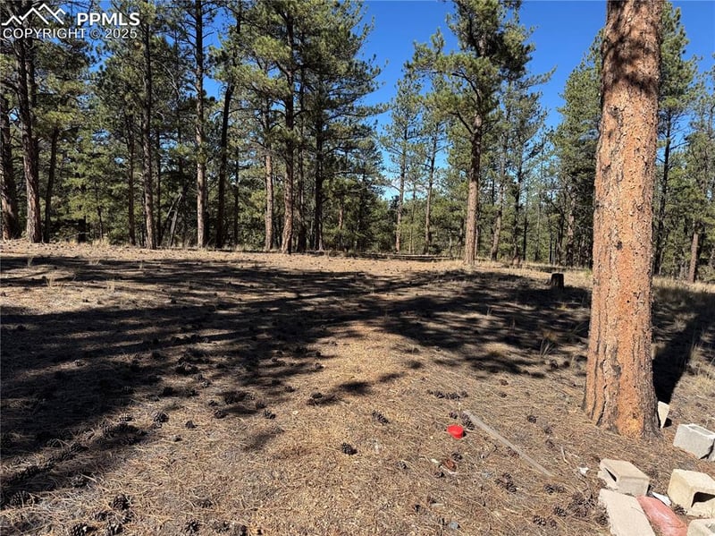 382 Blue Mountain Dr, Florissant, CO 80816