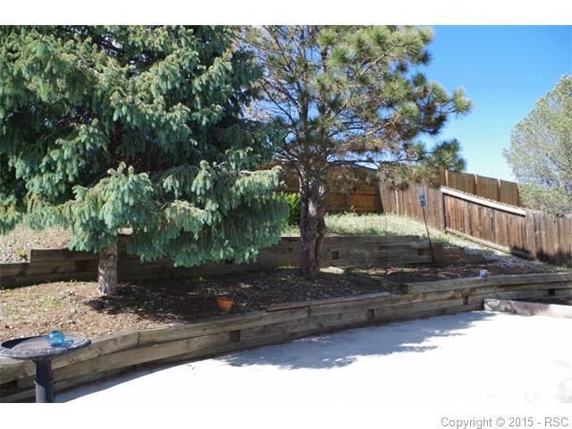 3830 Caviar Ct, Colorado Springs, CO 80918