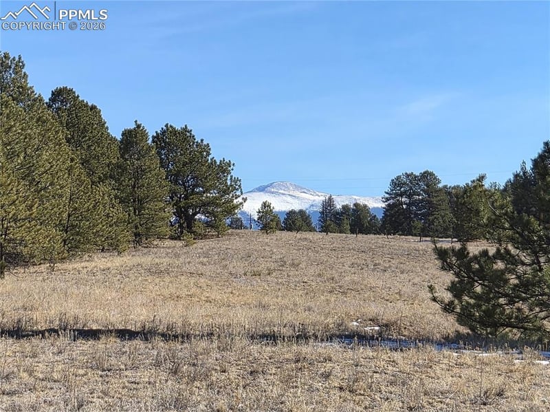 38340 Highway 24 , Lake George, CO 80827
