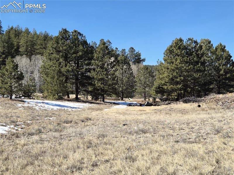 38340 Highway 24 , Lake George, CO 80827
