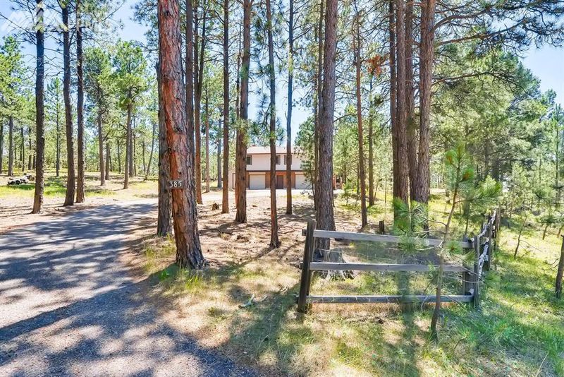 385 Buckskin Way, Monument, CO 80132