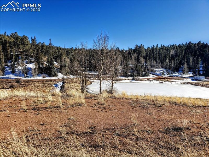385 Shadow Lake Dr, Divide, CO 80814