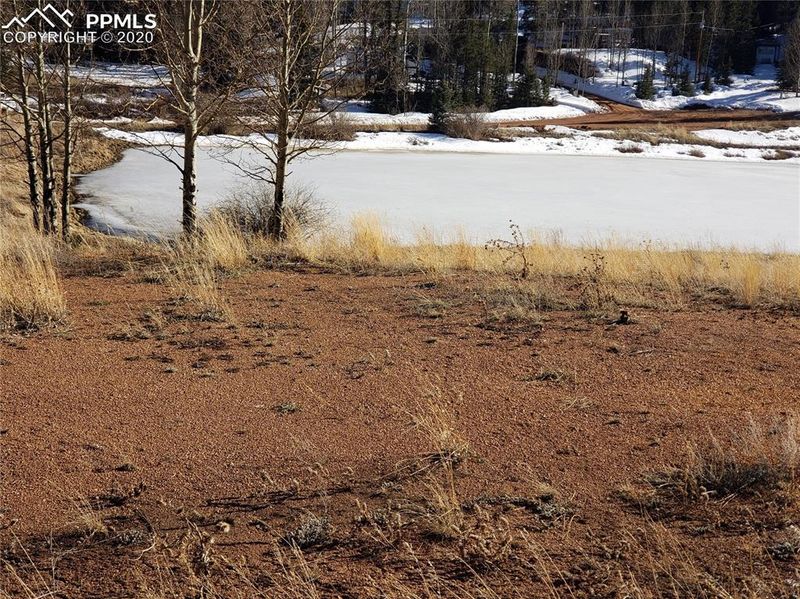 385 Shadow Lake Dr, Divide, CO 80814