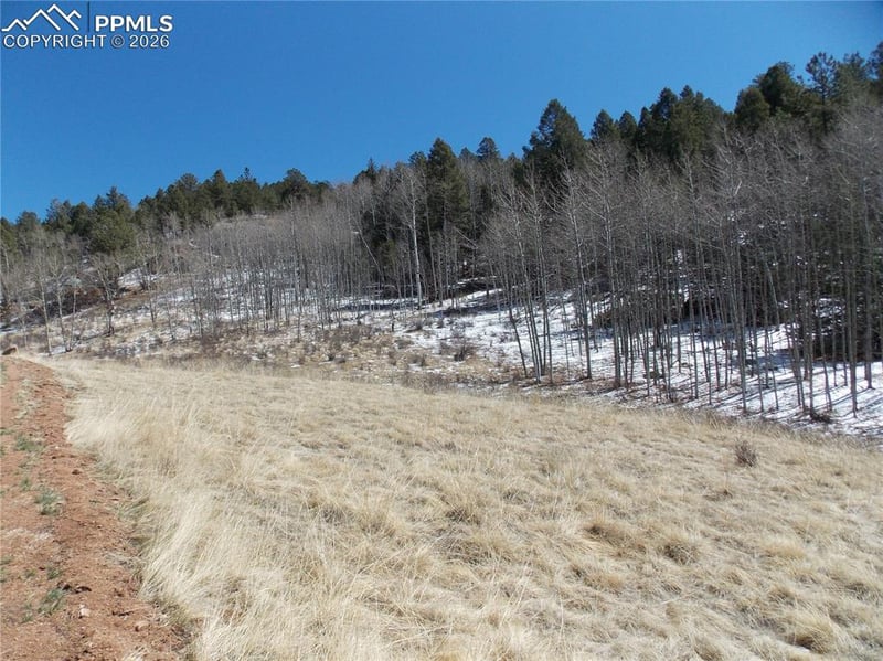 388 Grey Eagle Dr, Cripple Creek, CO 80813