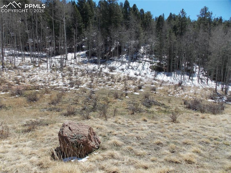 388 Grey Eagle Dr, Cripple Creek, CO 80813