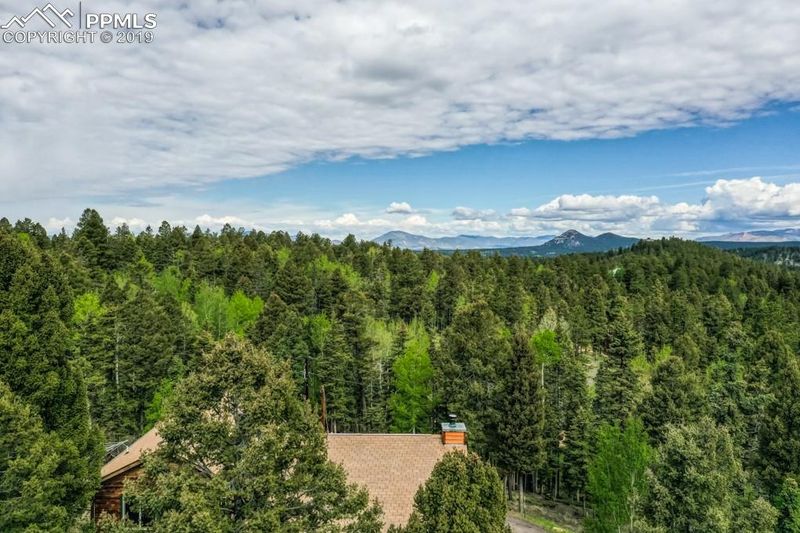 388 Spruce Lake Dr, Divide, CO 80814
