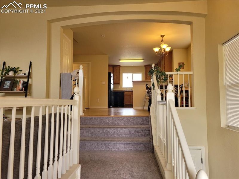 3880 Ute Mountain Trl, Castle Rock, CO 80109