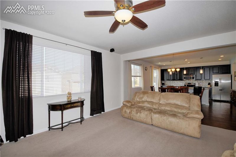3898 Starry Night Loop, Castle Rock, CO 80109