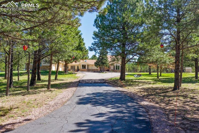390 E Stirrup Trl, Monument, CO 80132