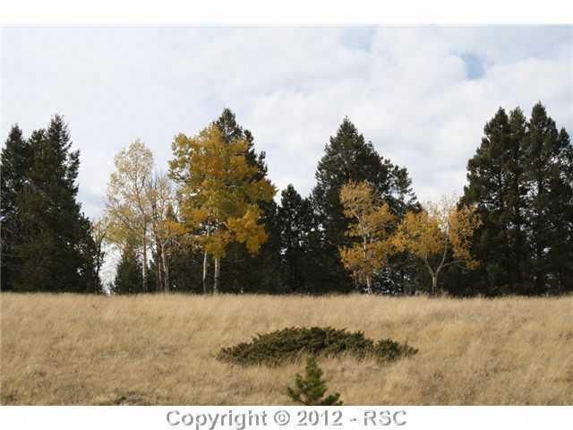 3900 N Elk Rg, Divide, CO 80814