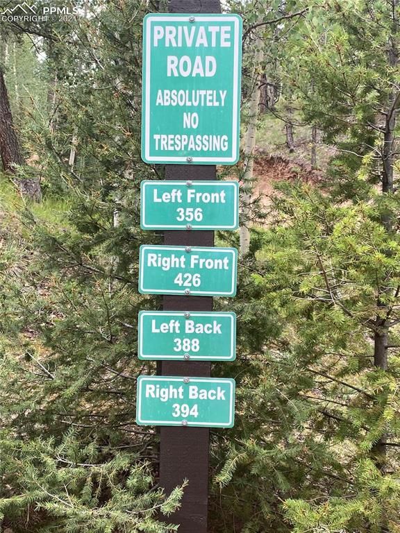 394 Spruce Lake Dr, Divide, CO 80814