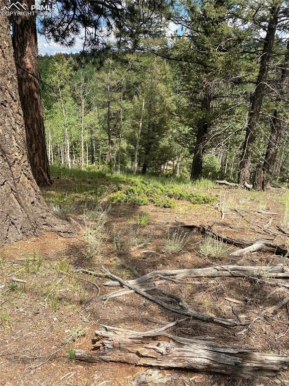 394 Spruce Lake Dr, Divide, CO 80814