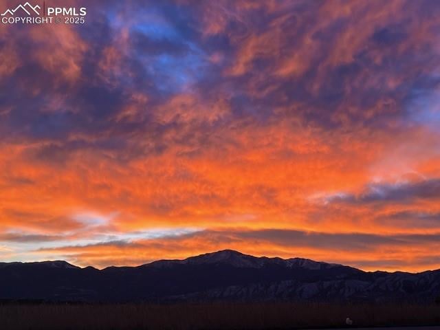 3978 Pronghorn Meadows Cir, Colorado Springs, CO 80922