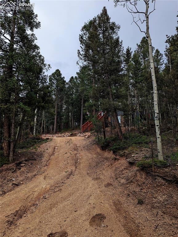 40 Flathead Ln, Woodland Park, CO 80863