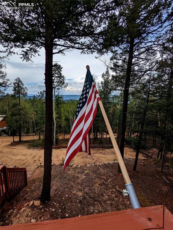 40 Flathead Ln, Woodland Park, CO 80863