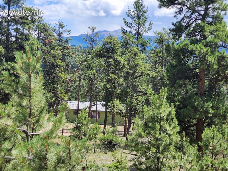 400 Pikes Peak Ln, Florissant, CO 80816