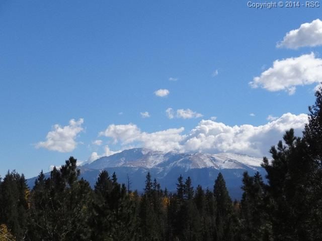 4003 County Road 5, Divide, CO 80814