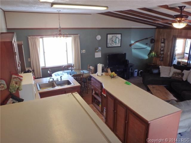 401 Friar Tuck Dr, Divide, CO 80814