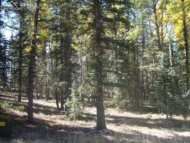401 Silvermoon Hts, Divide, CO 80814